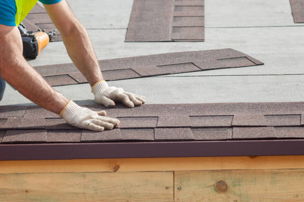 Best Asphalt Shingle Roofing  in Shorewood, MN