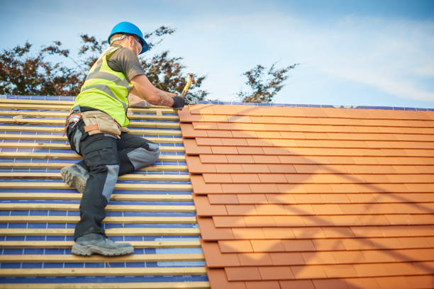 Best Rubber Roofing (EPDM, TPO)  in Shorewood, MN